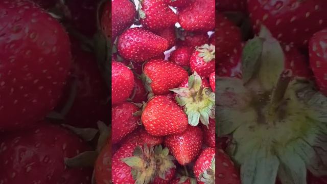 Удачного дня🌼#влогмамалайф#лето#доброеутро#добрыйвечер#пожелания#клубника#ягодки#отпуск#2023#позити смотреть онлайн
