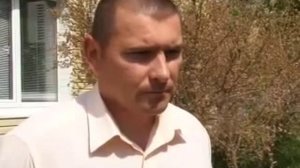 Жуки, которые заполонили город