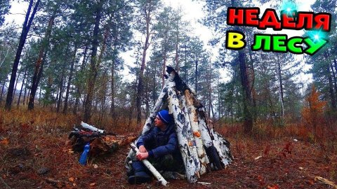 Настоящее выживание в лесу без нечего! Потерялся в Тайге Выживание в лесу зимой.