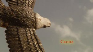 Ястребы и Ко макси! Я собрал всю коллекцию! Еще 6 из 16!