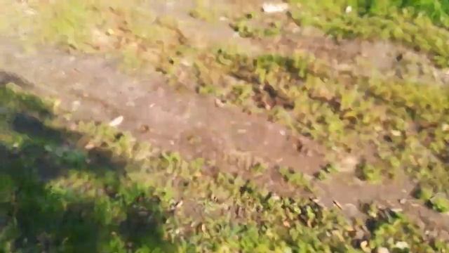 Как избавиться от лужи на грунтовой дороге.