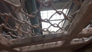 Старый лифт ЦРМЗ (1960 г.) V=0,65 м/с, Q-240 кг.