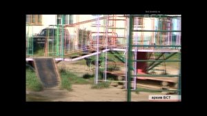 Бездомные собаки  Что с ними делать и куда обращаться за помощью!