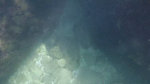 ТЁПЛАЯ ВОДА (cover for Vetlitskaya)