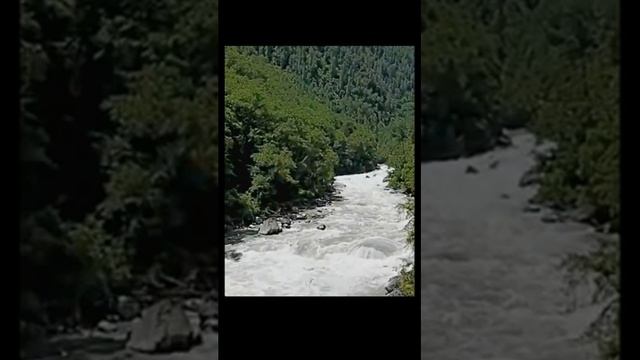 Звук природы. Пение синицы