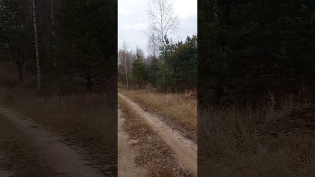 Погуляем