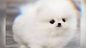 песня за деньги да