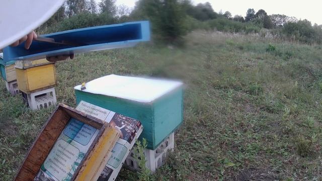 Вторая закормка пчел смотреть онлайн