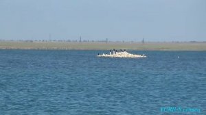 Ойбурское озеро. Мертвое море Крыма.