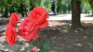 Столица Донецкой Народной Республики | Донецк ДНР