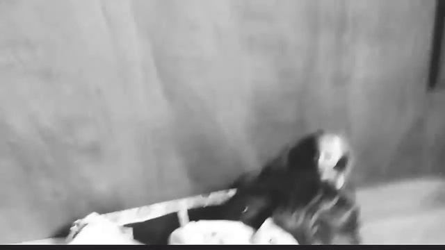 Сломана к тебе моя любовь смотреть онлайн