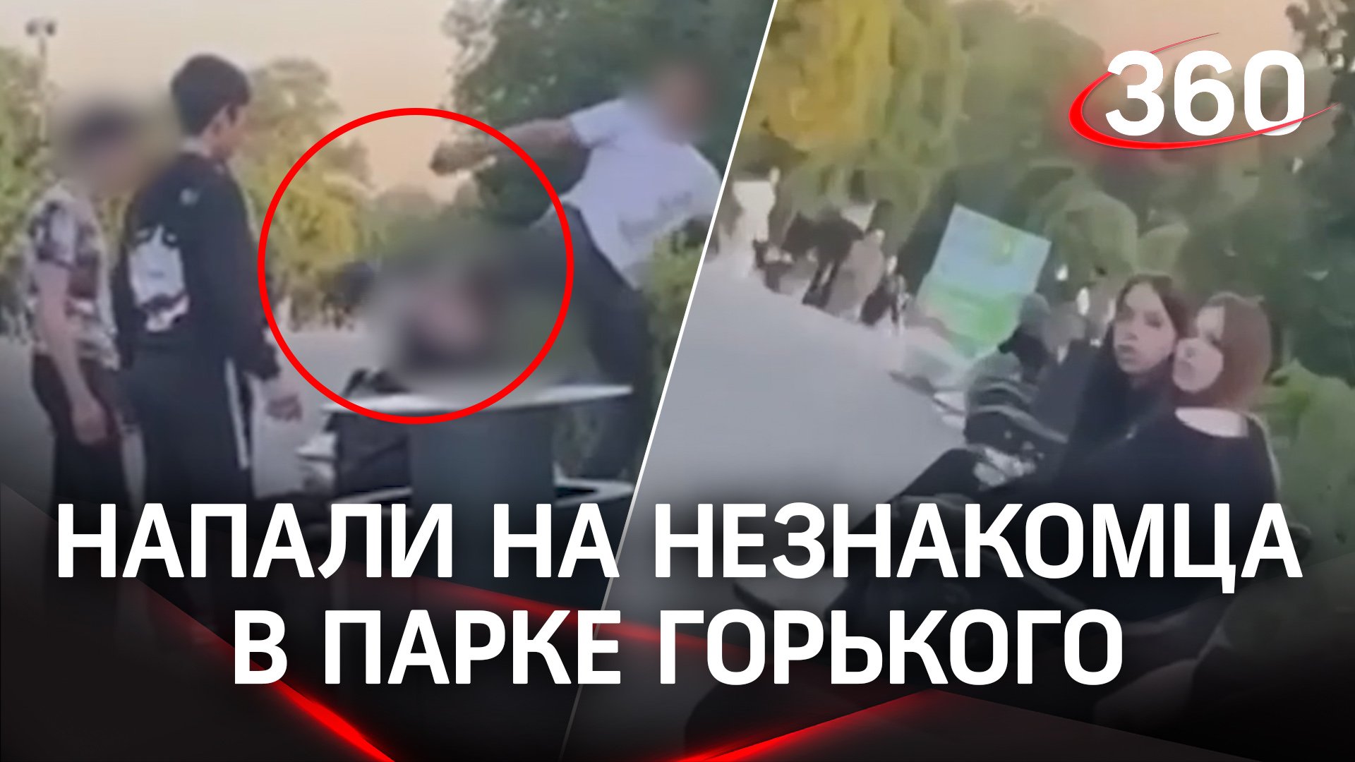 Нокаутировали в Парке Горького: полиция задержала подростков вырубивших «с ноги» человека