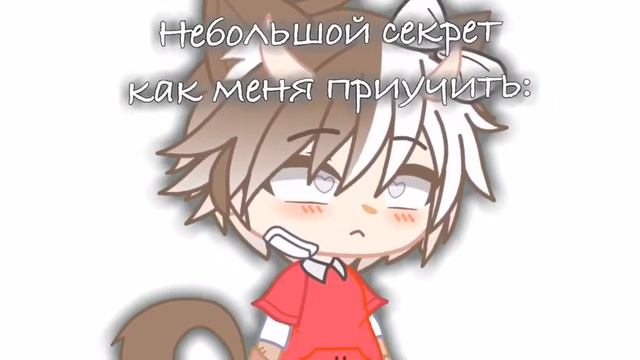 — небольшой секрет, как меня приручить: