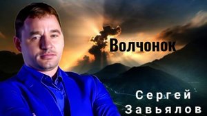 Сергей Завьялов - Волчок