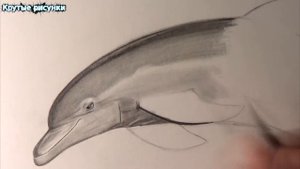 КРУТЫЕ РИСУНКИ КАК НАРИСОВАТЬ ДЕЛЬФИНА