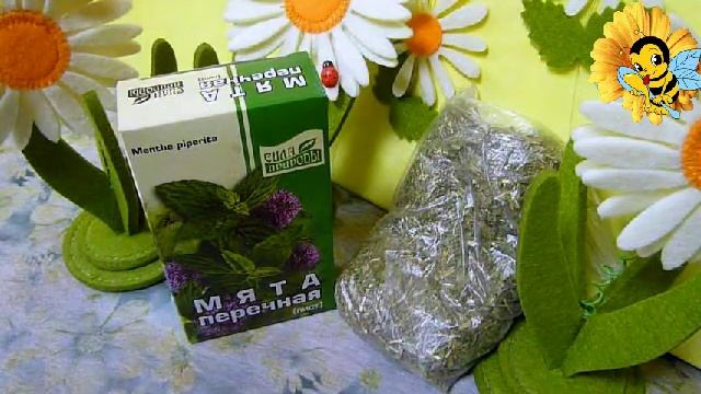 Мята перечная польза и свойства мяты, применение мяты