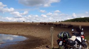 Honda Africa Twin - Offroad-Test nach 105.000 km mit dem Classic-Bike XRV 750 (RD04) - Teil 1