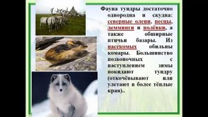 География 7  Географическая зональность