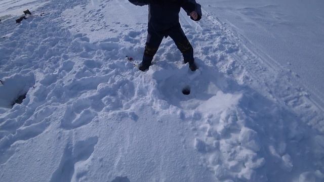 Открыли сезон корюшки 2022! Корюшка на Енисее. Рыбалка на Крайнем Севере! смотреть онлайн