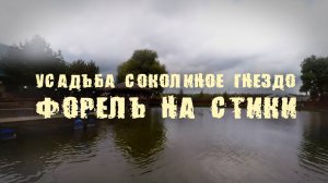 Ловим форель в Усадьбе Соколиное Гнездо