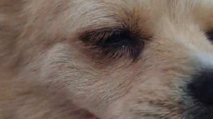 С палаткой на Азовском море. Рыбалка.Дикий кемпинг. Голубицкая. Краснодарский край.Часть 2