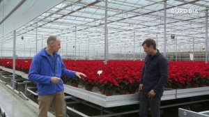 HOMEGROWN - Episode 7 Clip: Uniplumo Poinsettias