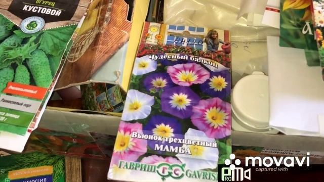 На даче солнечный день.Кое что удалось высадить. смотреть онлайн