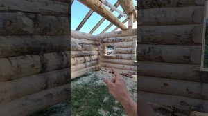 Баня из осины в канадскую чашу