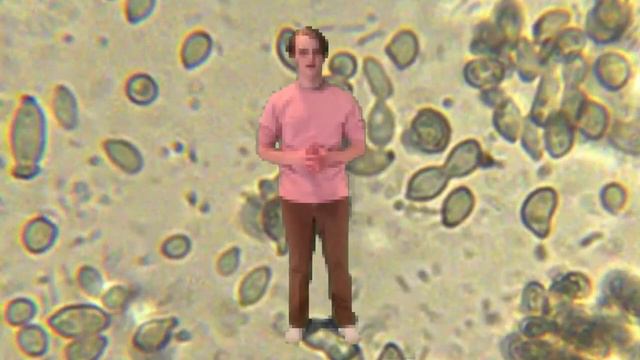 КРАТКО О МИТОЗЕ | Переводы смотреть онлайн