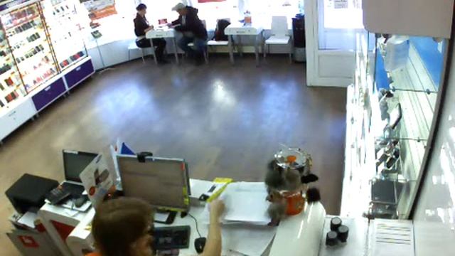 Кража телефона смотреть онлайн