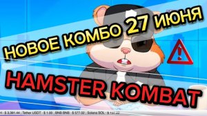 Новое комбо в хамстер комбат на 27 июня в хомяке. Hamster Kombat комбо