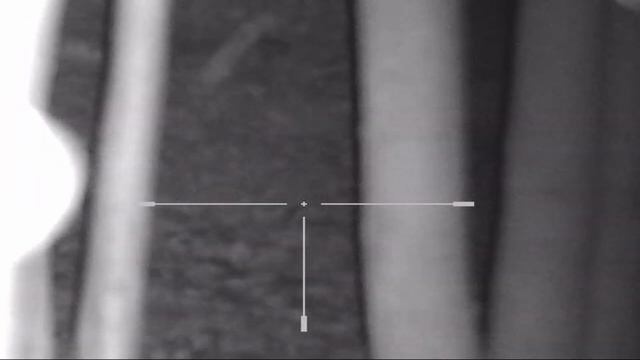 Охота на кабана. Регулирование в рамках АЧС! смотреть онлайн