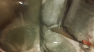 20-ти литровые бутыли для домашних напитков