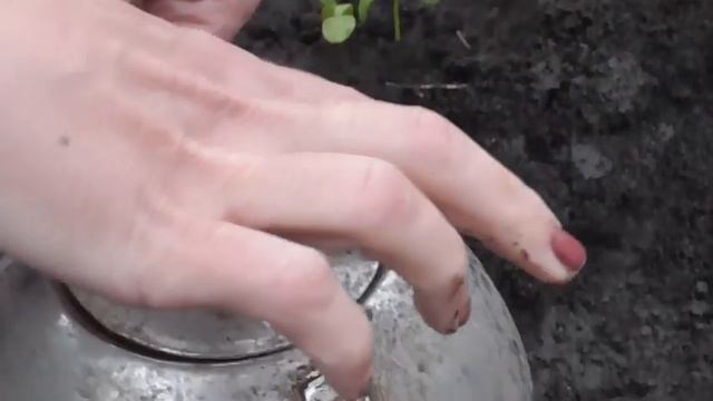 Как обогреть парник ЖИДКОЙ СВЕЧОЙ в холодные ночи. Как сделать жидкую свечу длительного горения