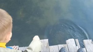 Магнитная рыбалка на Северском Донце