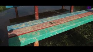 Массовая гибель рыбы в Курской области