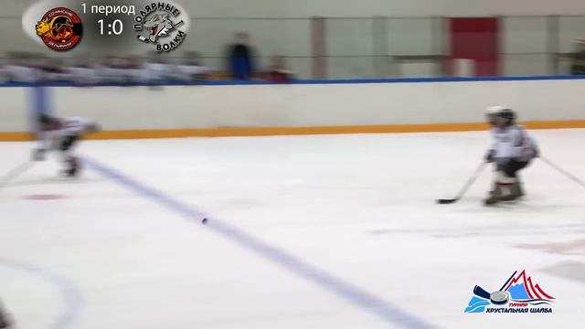 ХК Сочинские дельфины - ХК Полярные волки. Турнир "Хрустальная Шайба 2017" смотреть онлайн