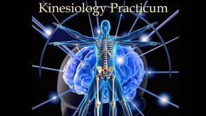 Законы функциональной неврологии # 3