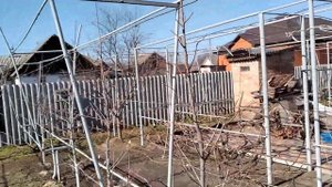 Обрезка персиков 1, 2 и3 года вегетации на веретено. Трансформация виноградной шпалеры в персиковую