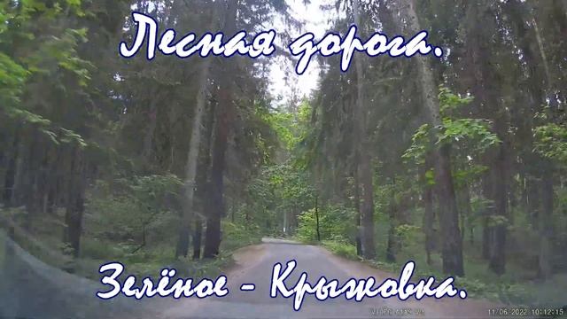 Лесная дорога Зелёное Крыжовка Минский район. Forest Driving tour. Travel by car. Beauty of Belarus