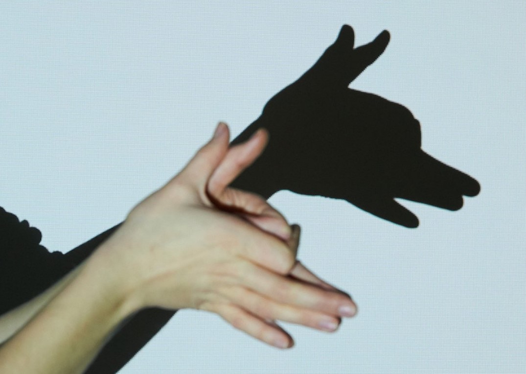 Рука шавка. Собака из рук театр теней. Тени руками на стене. Тень собаки руками. Театр теней руками на стене.
