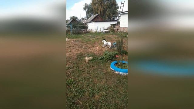 Финал истории Девочки! Меня зовут Молли, спасибо всем вам подписчики, я дома! смотреть онлайн