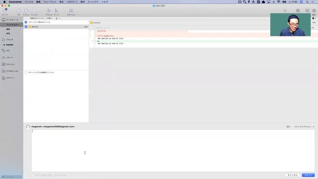 変更のリセット、コミットのリセット - SourceTreeを利用したGitの基本操作 смотреть онлайн