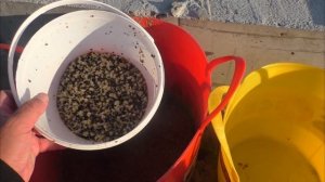 Рыбалка в городе Казани