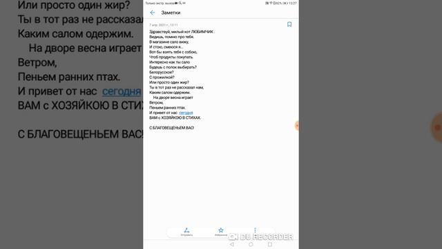 #котывдоме#домашниелюбимцы #котлюбитсало#стихи#авторскиестихитатьяна Здравствуй, милый кот ЛЮБИМЧИК