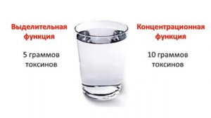 Почему нужно пить именно чистую воду!