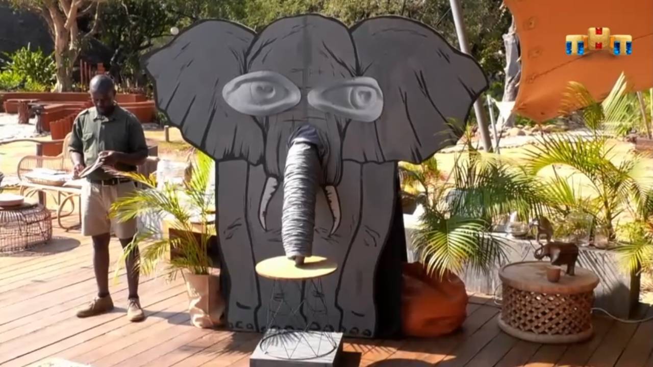 Звезды в Африке: Тупой и еще тупее