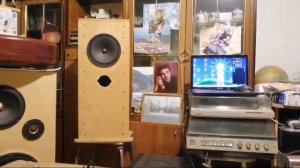 Мистер Кунаширский с шириками!