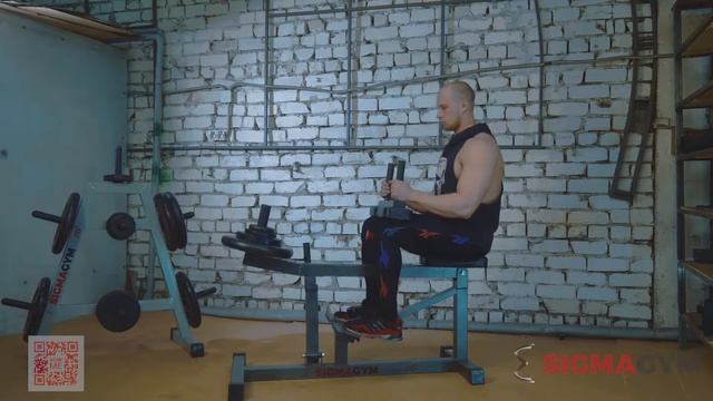 Голень сидя свободный вес смотреть онлайн