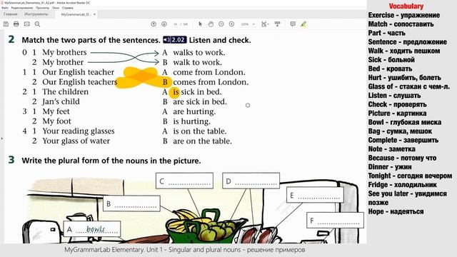 1.2 ПРИМЕРЫ Множественное число в английском слишком просто? Singular and plural nouns. Грамматика
